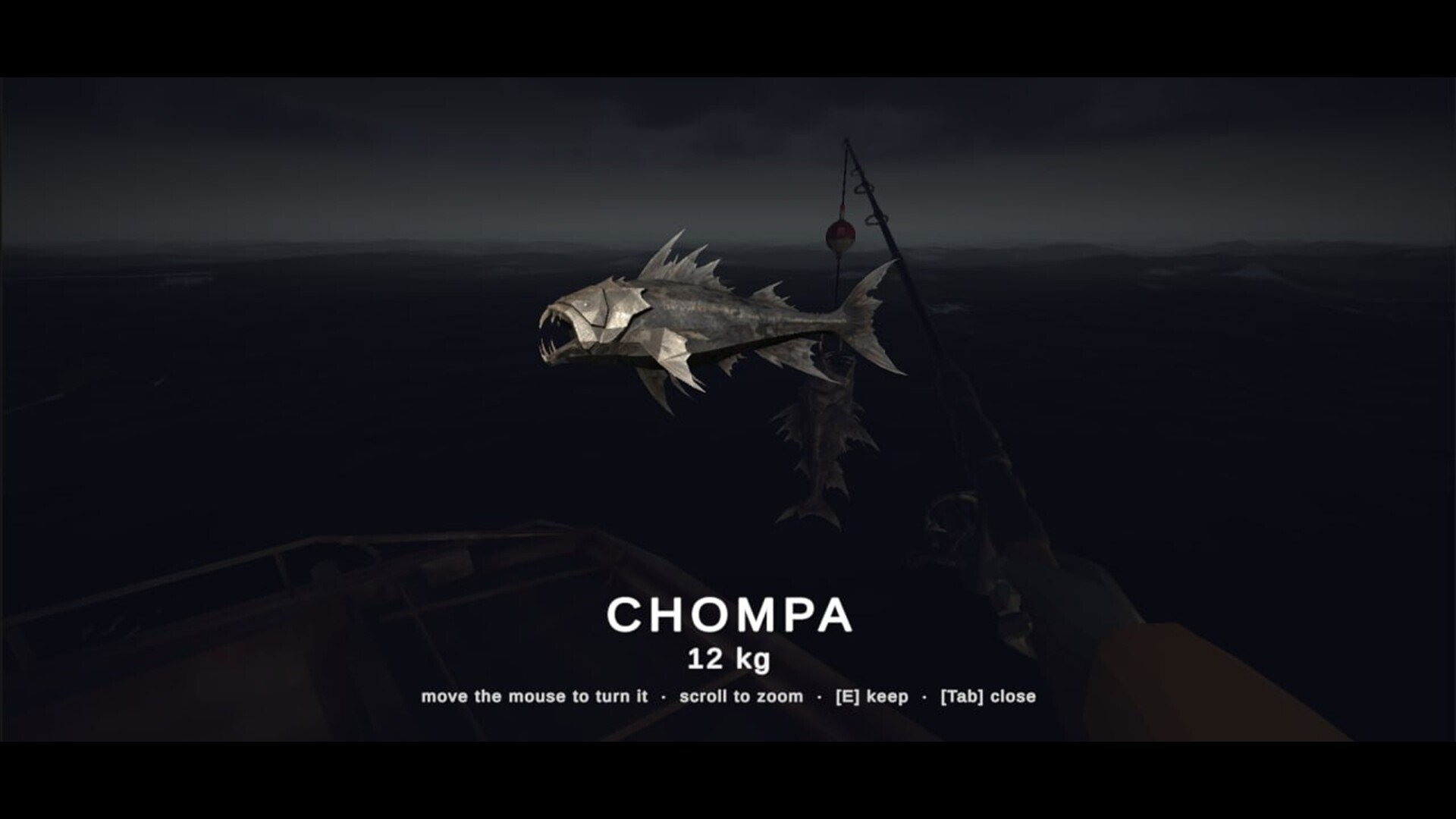 Chompa, a 12 kilogram fish shown in Reel Risk